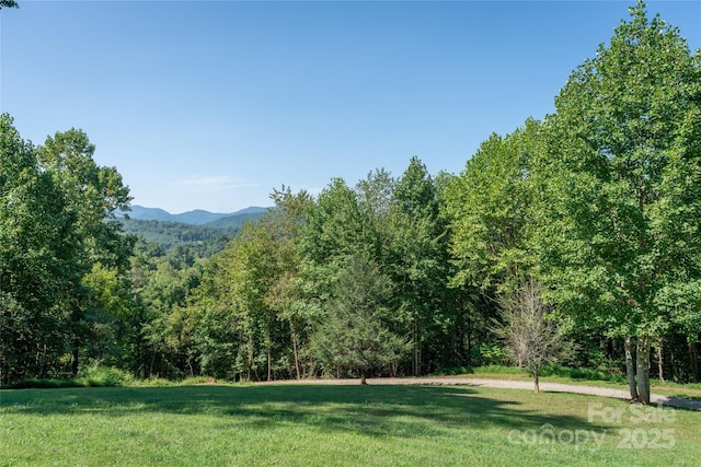 69 Merrell Rd, Leicester, NC 28748 - photo 20
