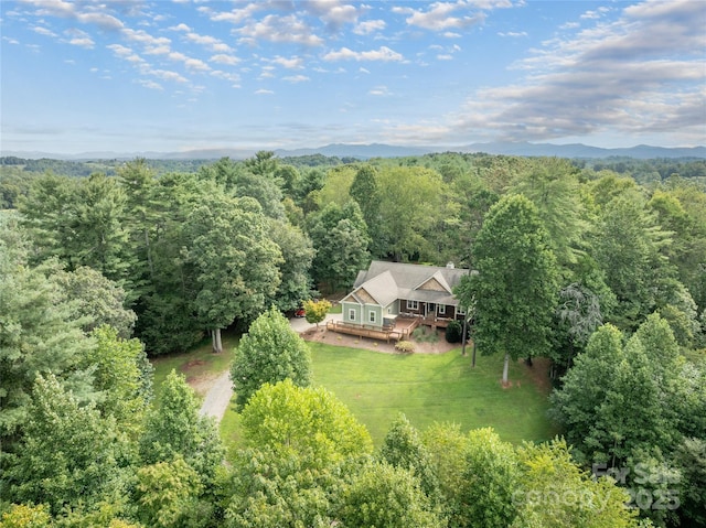 69 Merrell Rd, Leicester, NC 28748 - photo 39