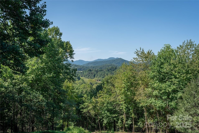 69 Merrell Rd, Leicester, NC 28748 - photo 41