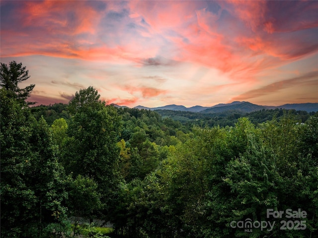69 Merrell Rd, Leicester, NC 28748 - photo 45