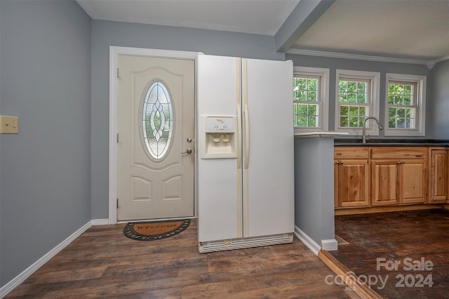 foyer entrance with crown molding, dark hardwood / wood-style floors, and sink