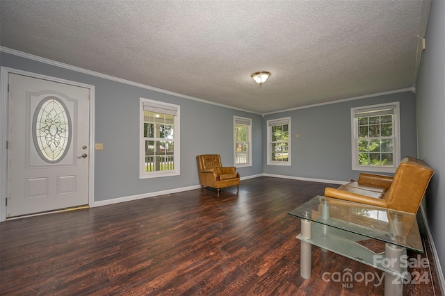 sitting room with crown molding, dark wood-type flooring, and a textured ceiling