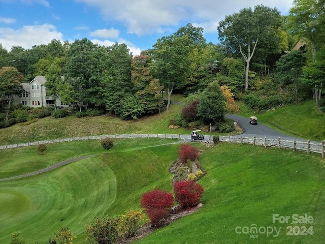 view of community with a yard