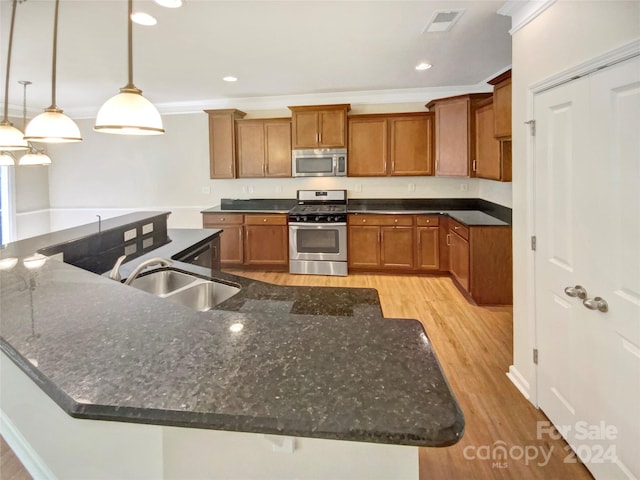 kitchen featuring light wood-type flooring, crown molding, decorative light fixtures, stainless steel appliances, and sink