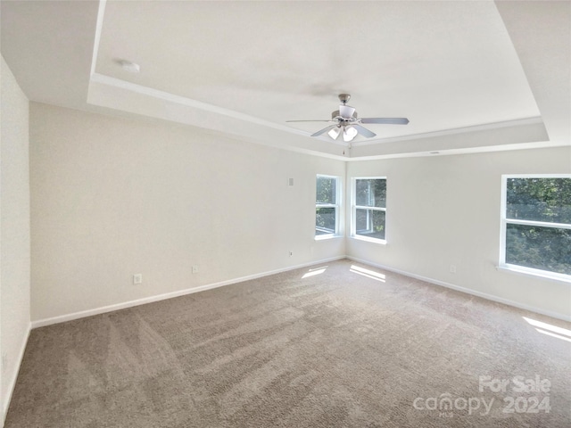 spare room featuring carpet flooring, a tray ceiling, and ceiling fan