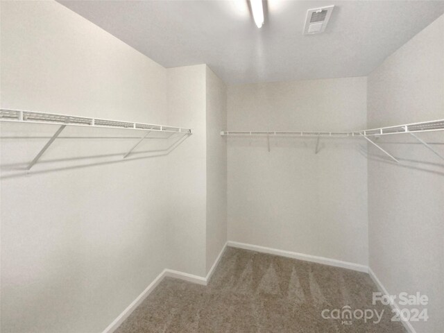 spacious closet with carpet