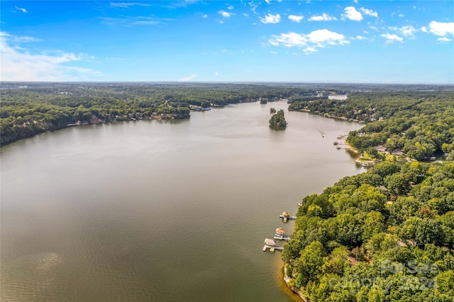 drone / aerial view with a water view and a forest view