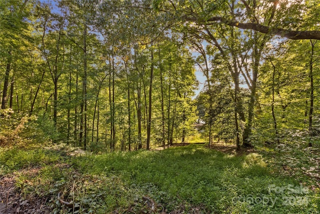 view of nature featuring a forest view