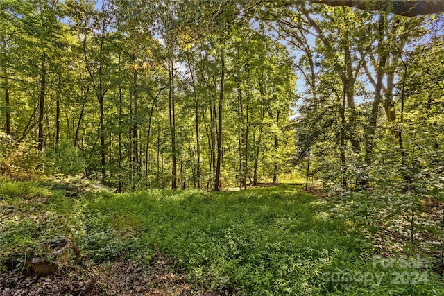 view of local wilderness with a wooded view