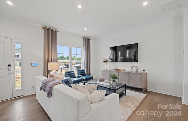 living room featuring hardwood / wood-style flooring