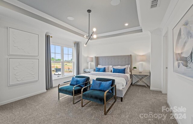 carpeted bedroom featuring a raised ceiling