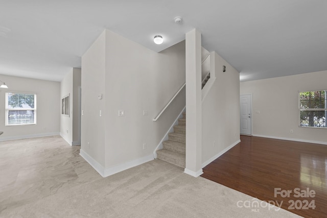 staircase with hardwood / wood-style flooring