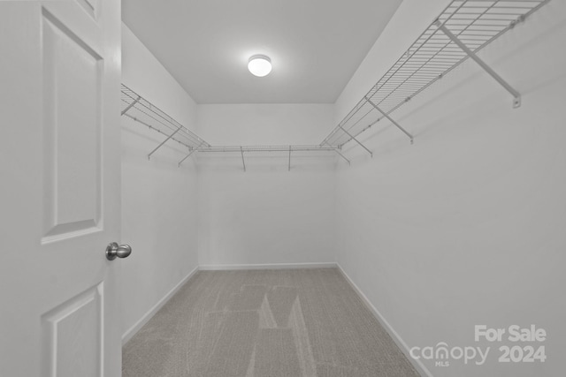 spacious closet with light colored carpet