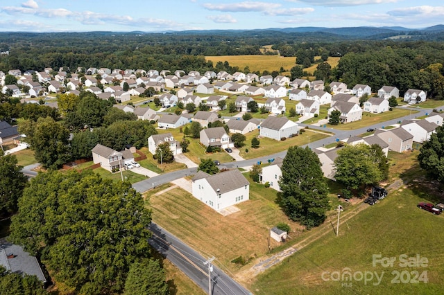 bird's eye view