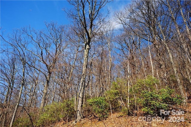 35 Wedgewood Ter Unit 1104, Black Mountain NC, 28711 land for sale