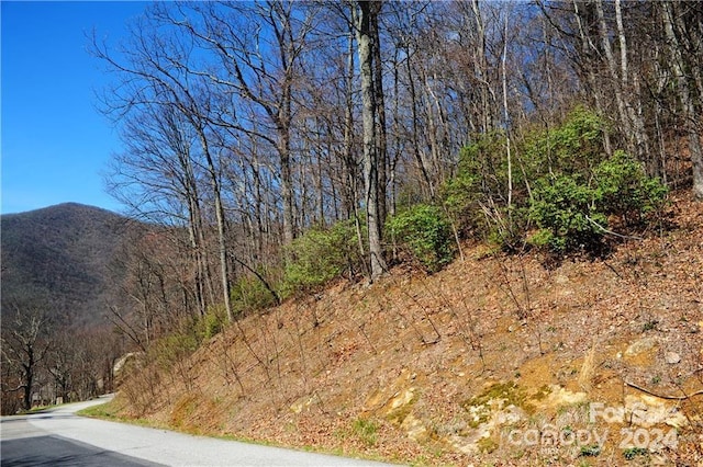 Listing photo 2 for 35 Wedgewood Ter Unit 1104, Black Mountain NC 28711