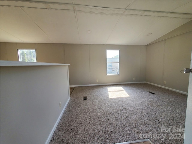 spare room with a wealth of natural light and carpet