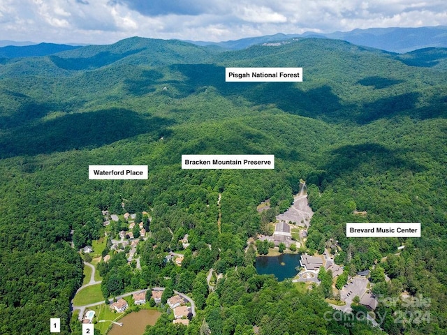 Lot50 Wood Duck Court 50 & 51, Brevard, NC 28712