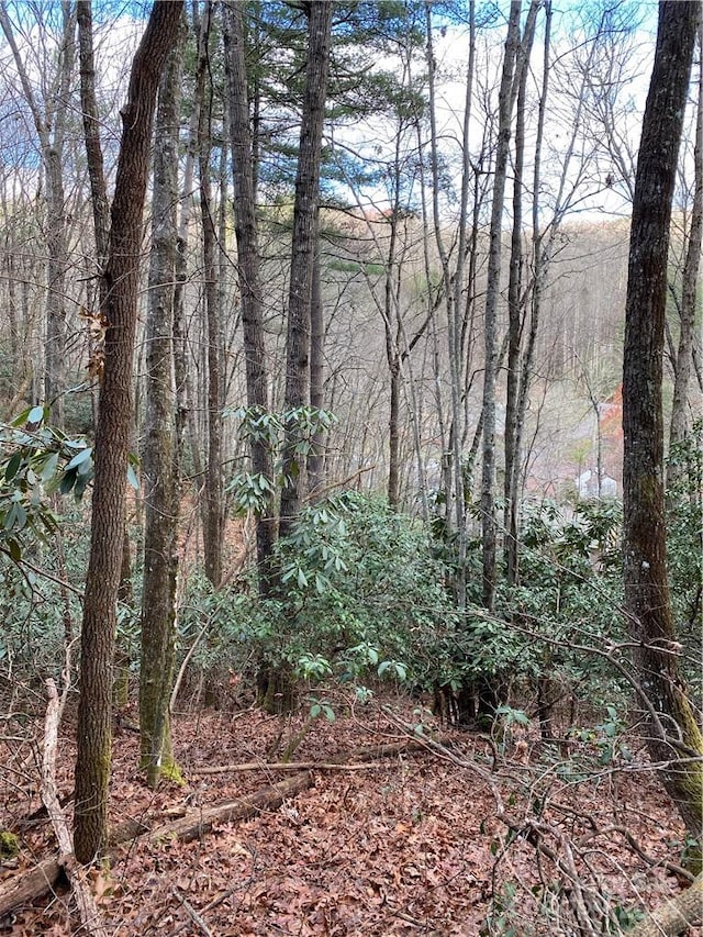 Listing photo 3 for Lot50 Wood Duck Court 50 & 51, Brevard NC 28712