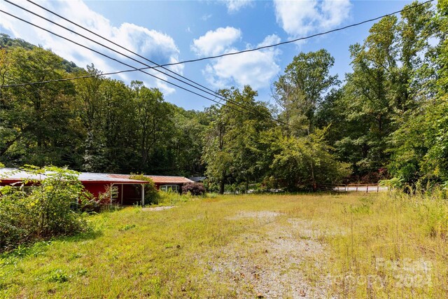 3290 Gerton Hwy, Gerton, NC 28735 - photo 6