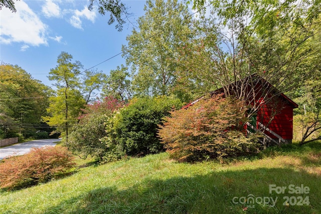 3290 Gerton Hwy, Gerton, NC 28735 - photo 7