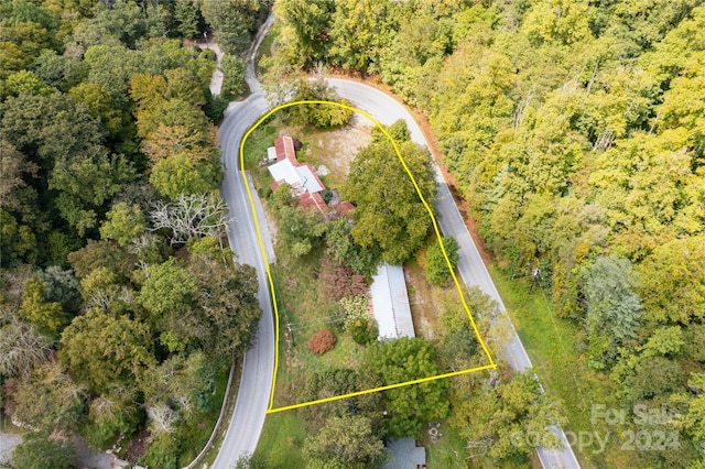 3290 Gerton Hwy, Gerton, NC 28735 - photo 29