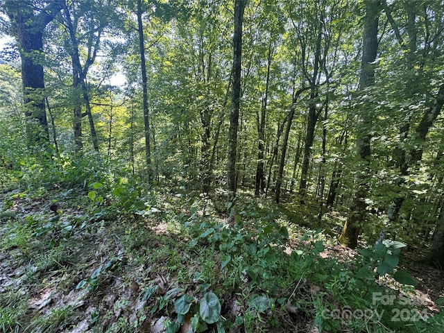 229 Hanging Rock Rd, Mars Hill NC, 28754 land for sale