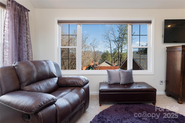 living area with light colored carpet