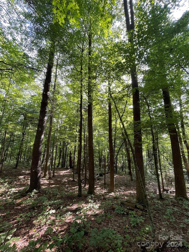 Listing photo 3 for LOT20 Haverhill Ct Unit 20, Flat Rock NC 28731