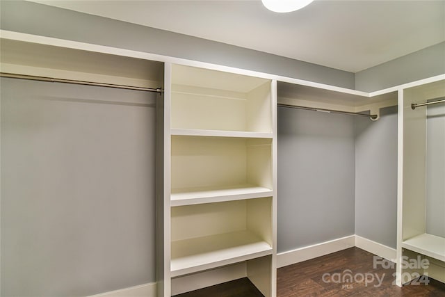 spacious closet with dark hardwood / wood-style floors