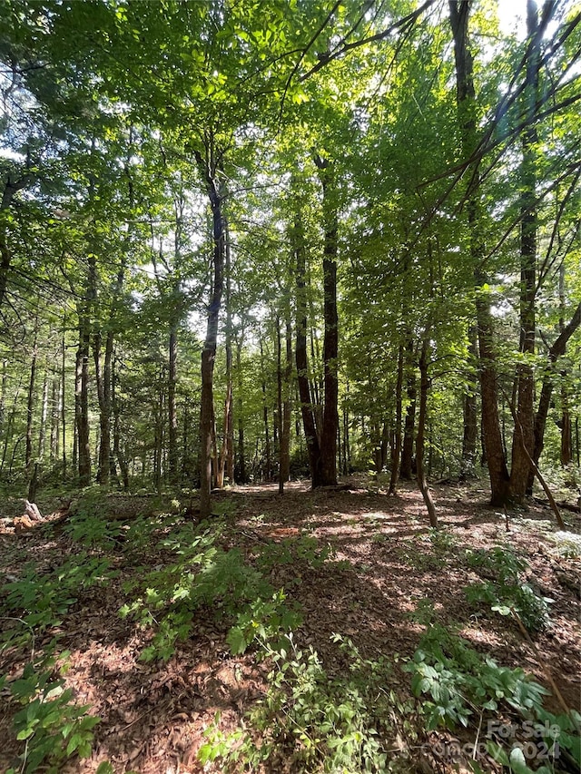 LOT21 Haverhill Ct Unit 21, Flat Rock NC, 28731 land for sale