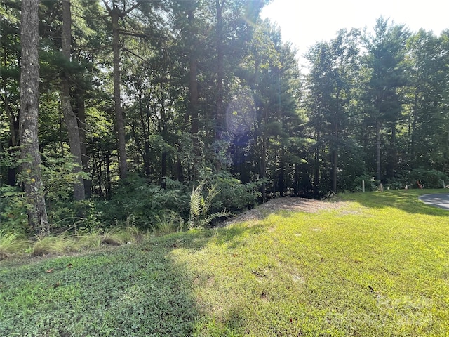 Listing photo 2 for LOT21 Haverhill Ct Unit 21, Flat Rock NC 28731