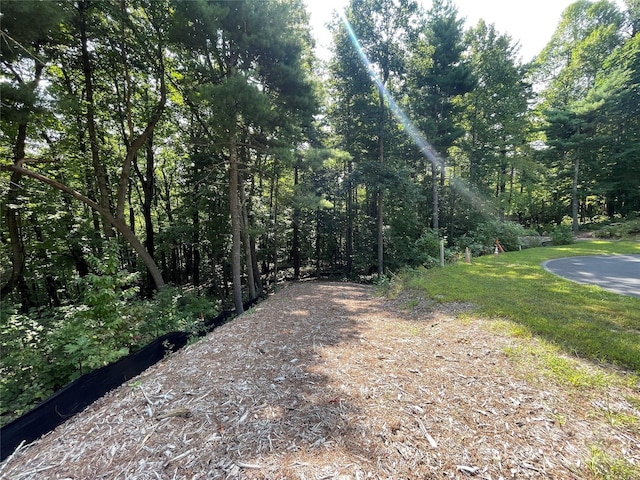 Listing photo 3 for LOT21 Haverhill Ct Unit 21, Flat Rock NC 28731