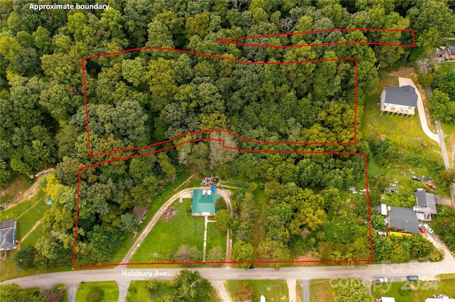 603 Halsbury Ave, Hendersonville, NC 28791 - photo 8