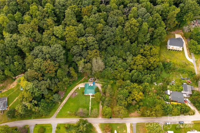 603 Halsbury Ave, Hendersonville, NC 28791 - photo 9