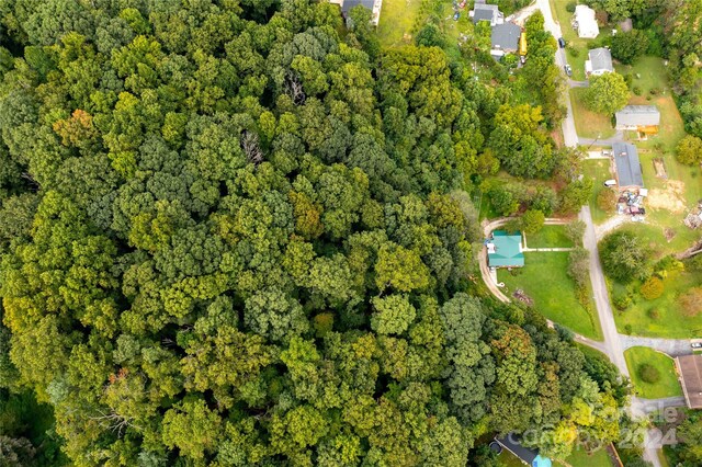 603 Halsbury Ave, Hendersonville, NC 28791 - photo 11