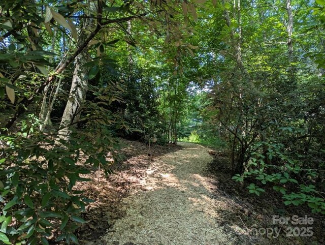 5 Chaucer Rd, Black Mountain, NC 28711 - photo 7