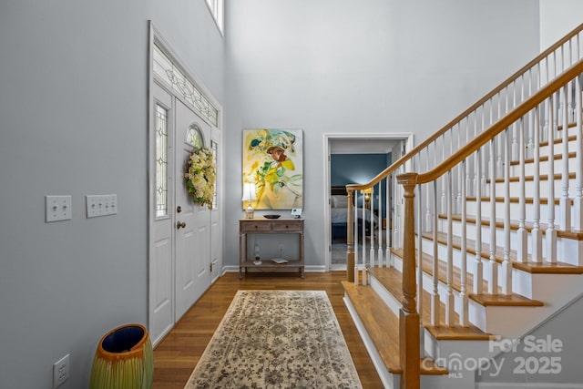 entryway featuring wood-type flooring