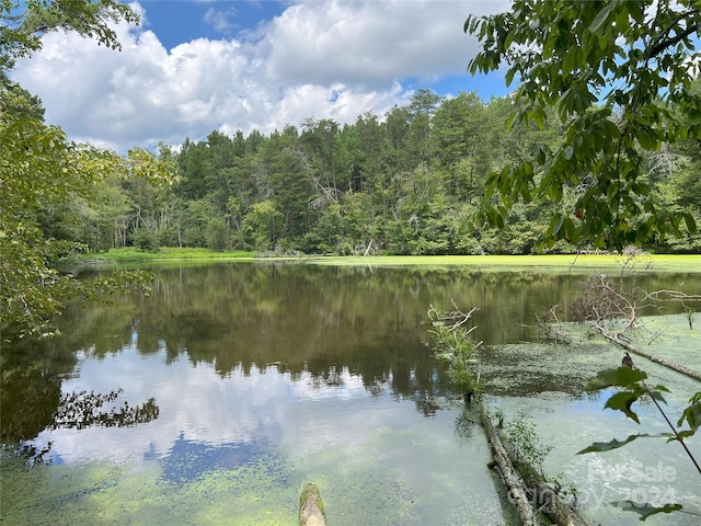 05 Stroud Rd, Ellenboro, NC 28040 - photo 3