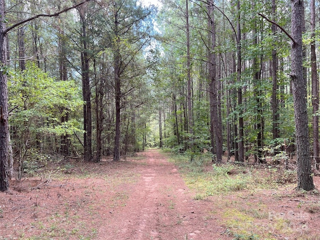 05 Stroud Rd, Ellenboro, NC 28040 - photo 11