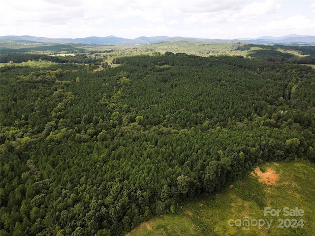 05 Stroud Rd, Ellenboro, NC 28040 - photo 22