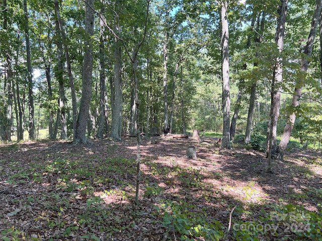 05 Stroud Rd, Ellenboro, NC 28040 - photo 23