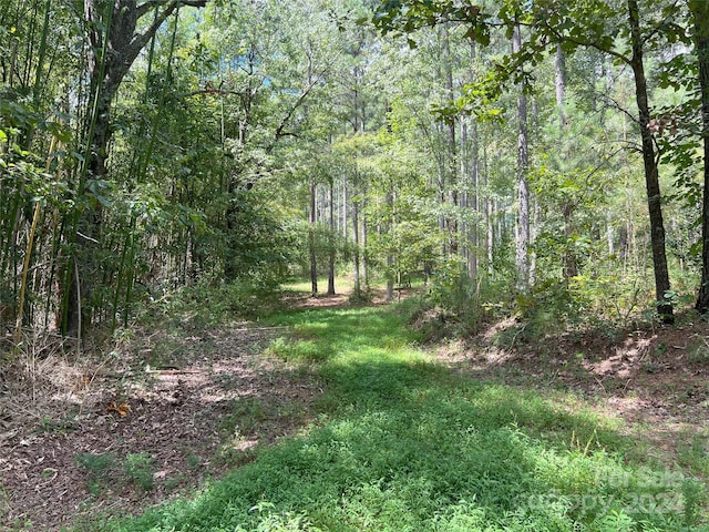 05 Stroud Rd, Ellenboro, NC 28040 - photo 38