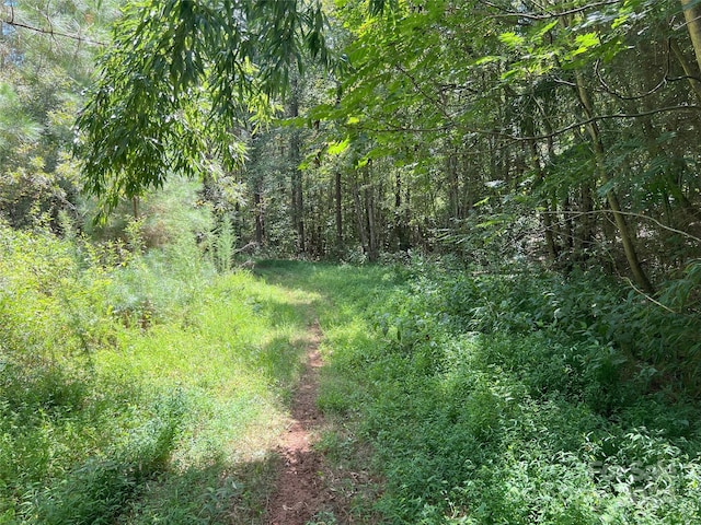 05 Stroud Rd, Ellenboro, NC 28040 - photo 40