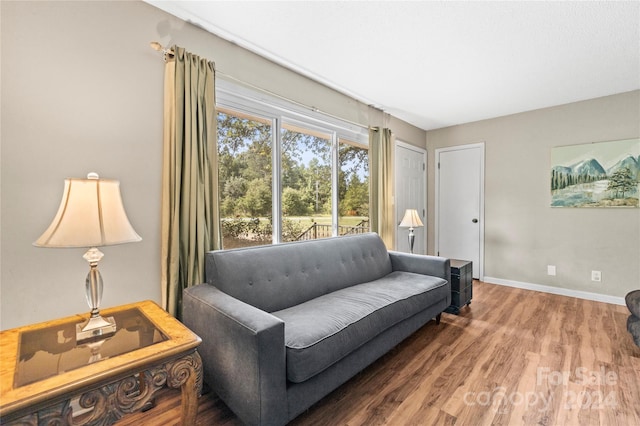 living room featuring hardwood / wood-style floors