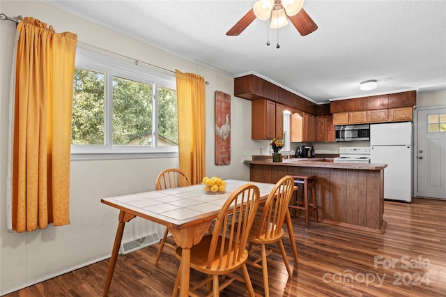 dining room with ceiling fan, dark hardwood / wood-style floors, and a textured ceiling