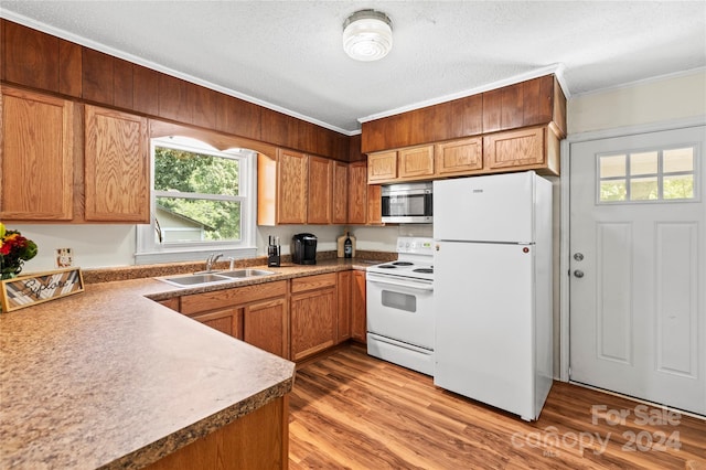 kitchen featuring crown molding, light wood-type flooring, white appliances, sink, and a textured ceiling