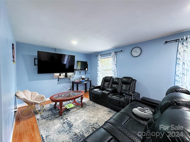 living room with hardwood / wood-style flooring