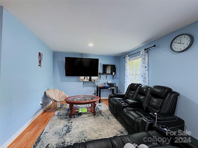 living room featuring wood-type flooring