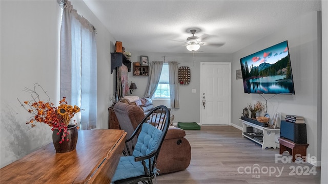 office area featuring ceiling fan, light hardwood / wood-style floors, and a textured ceiling